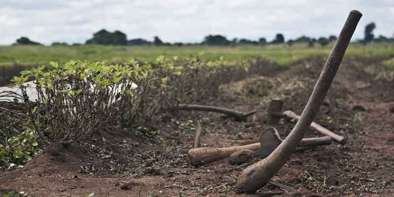 (GS Article) Impact of Climate Change & Sustainable Agriculture